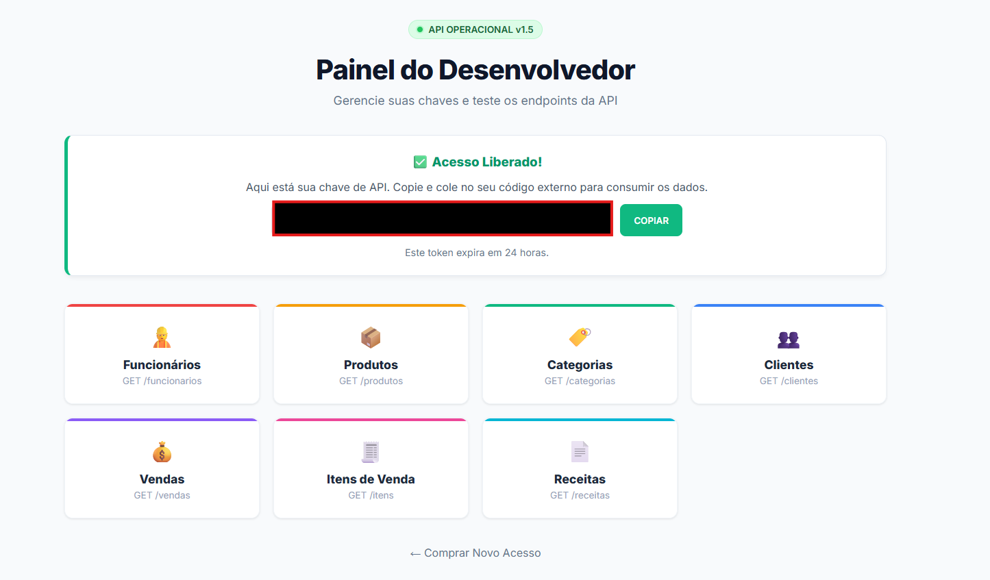 Painel do Desenvolvedor com Token